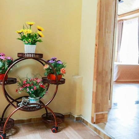 Cat Ba Vintage Homestay 吉婆岛 外观 照片