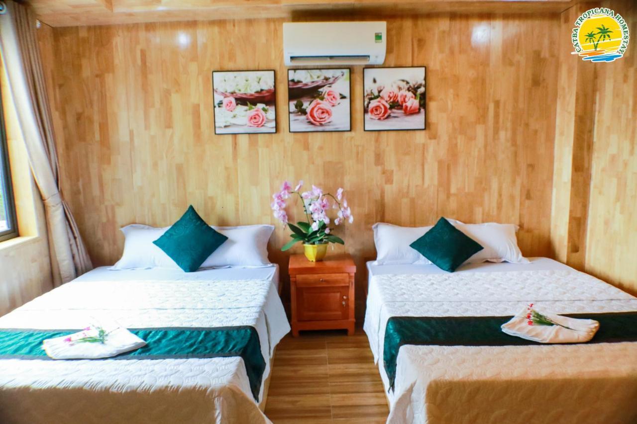 Cat Ba Vintage Homestay 吉婆岛 外观 照片