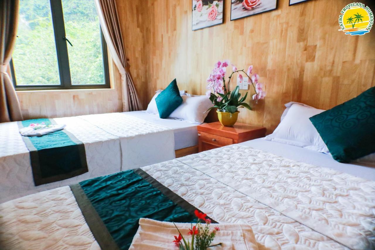 Cat Ba Vintage Homestay 吉婆岛 外观 照片