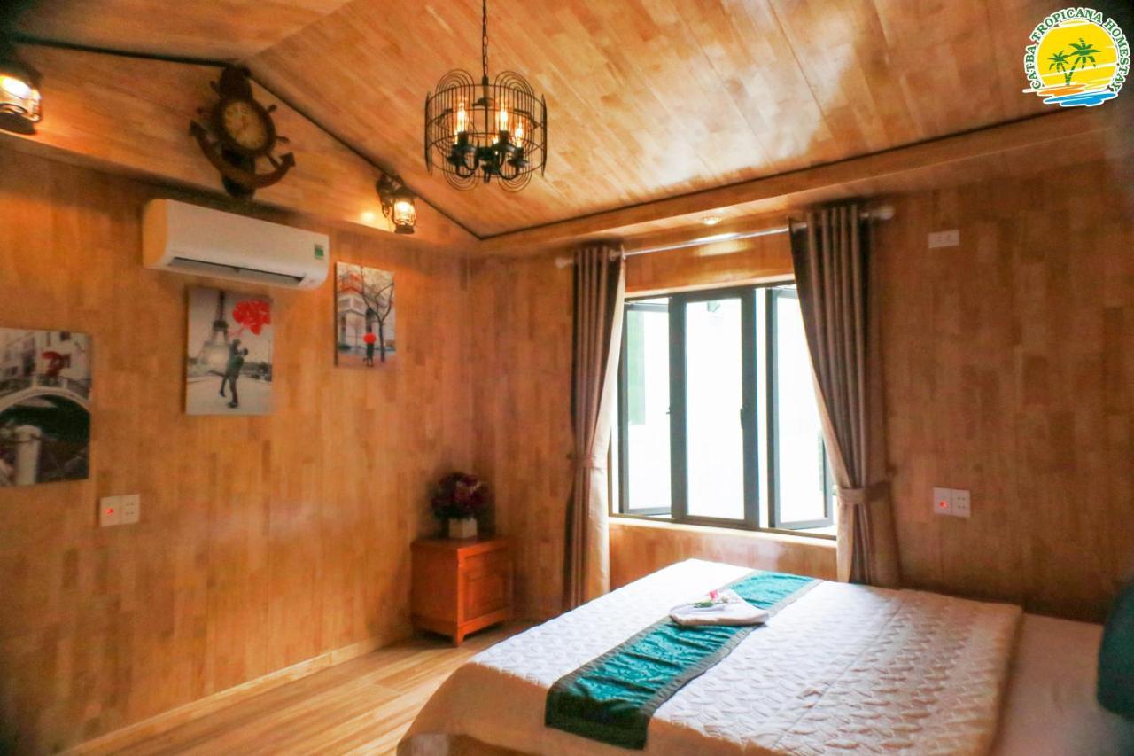 Cat Ba Vintage Homestay 吉婆岛 外观 照片