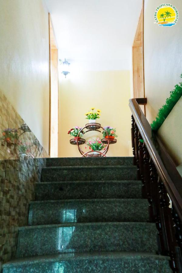 Cat Ba Vintage Homestay 吉婆岛 外观 照片
