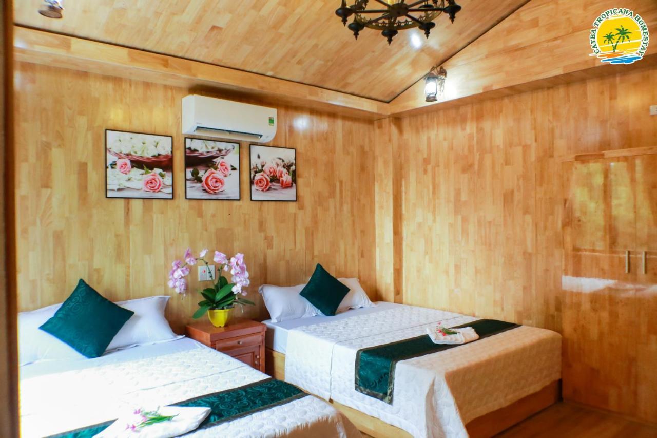 Cat Ba Vintage Homestay 吉婆岛 外观 照片