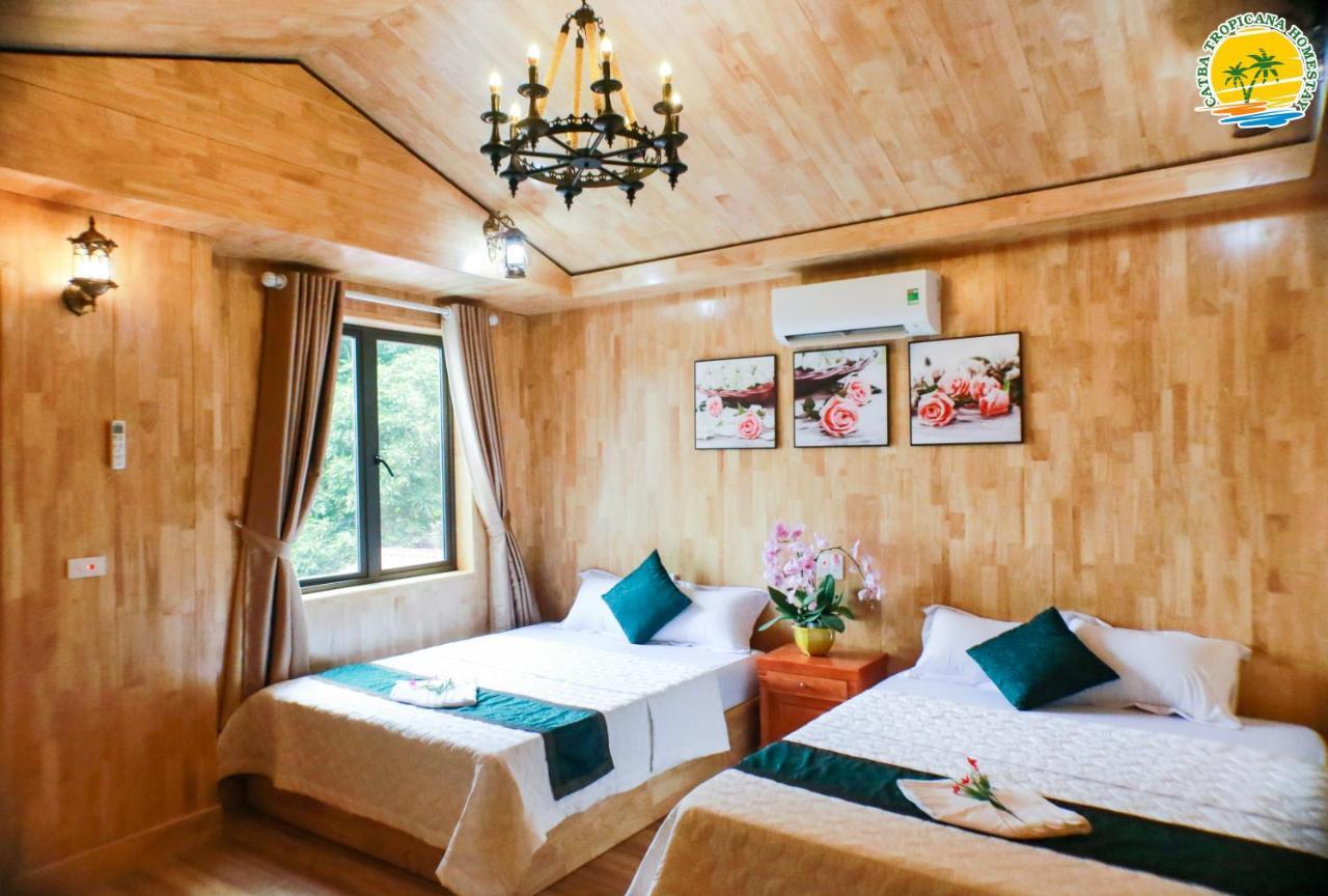 Cat Ba Vintage Homestay 吉婆岛 外观 照片
